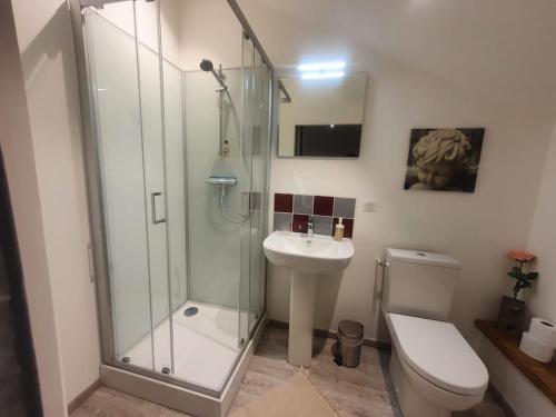 une salle de bain avec une douche, des toilettes et un lavabo dans l'établissement chambre indépendante, à Marboz