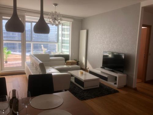 sala de estar con sofá y TV en Apartmán v centre, 4os., parking, en Bratislava