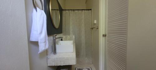 a bathroom with a shower with a sink and a mirror at Green Monkey Cottage in Saint Lucy
