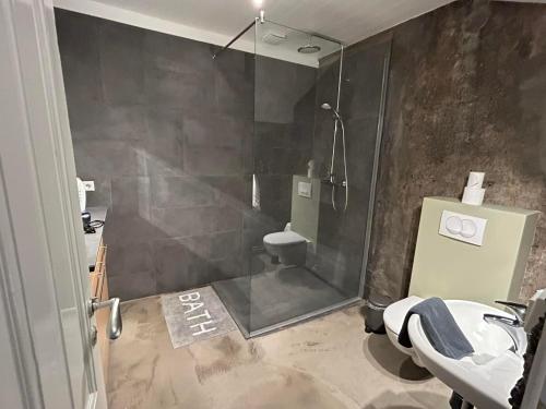 a bathroom with a shower and a toilet and a sink at Apartment for 4 guests in Hvolsvöllur