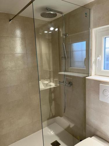 une douche avec une porte vitrée dans une salle de bain dans l'établissement Mazet Chantilly, 3 étoiles Gîtes de France, Alès, à Alès
