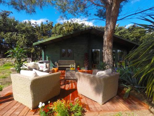 Mas Des Fleurs - Olive House