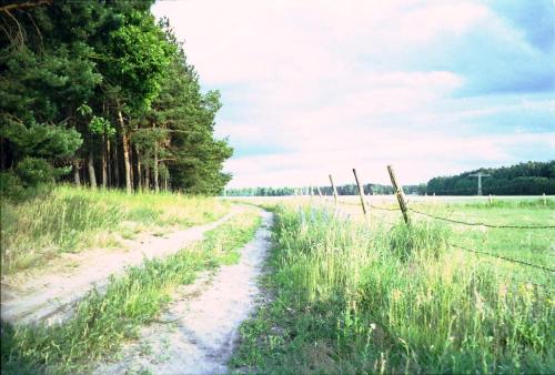 a dirt road in a field next to a fence at Ferienhaus Eichelhäher in Zossen