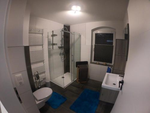 e bagno con doccia, servizi igienici e lavandino. di Ferienwohnung am Bärenstein a Bärenstein