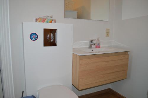 uma casa de banho com um lavatório e um WC em Fine Fleur em Geraardsbergen