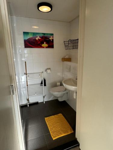 a bathroom with a toilet and a sink at Coastal Dreaming in Egmond aan Zee