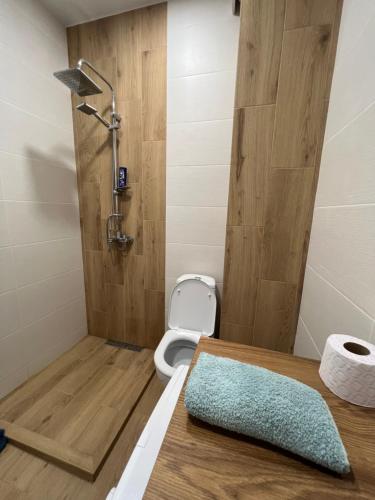 een badkamer met een douche en een toilet bij Archi apartments 4 in Tbilisi City