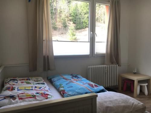 1 cama en un dormitorio con ventana grande en Apartmány na Tanvaldském Špičáku, en Jiřetín pod Bukovou