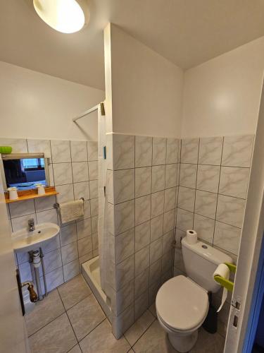 a bathroom with a toilet and a sink at hotel restaurant de la gare in Robert-Espagne
