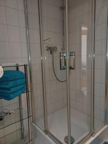een douche met een glazen deur in een badkamer bij Ferienhof Schönfelder in Königstein an der Elbe