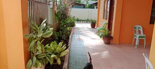 a patio with plants and chairs in a house at Jessa's 5 Guests house in Moalboal