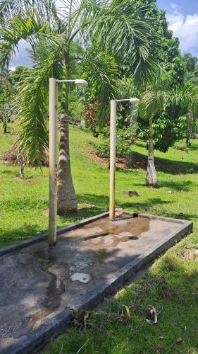 a park with two poles in a field with palm trees at Camping Ariró in Angra dos Reis