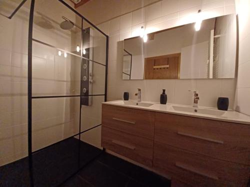 ein Bad mit einem Waschbecken und einer Dusche in der Unterkunft Gîte Entre Sources et Sapins 