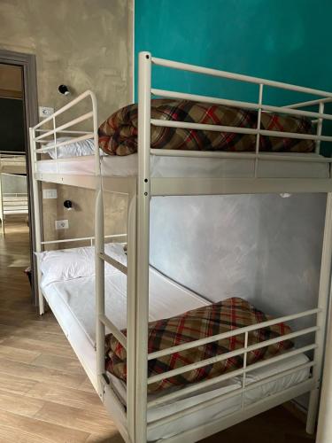 a couple of bunk beds in a room at Gloria Hostel Milano in Milan