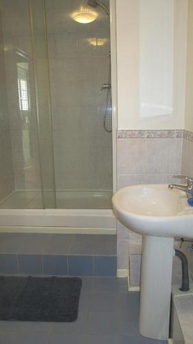 a bathroom with a sink and a shower at La Maison Rose in Saillans