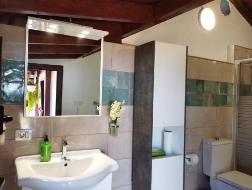 a bathroom with a sink and a mirror and a toilet at Luz de Aroa in Garafía