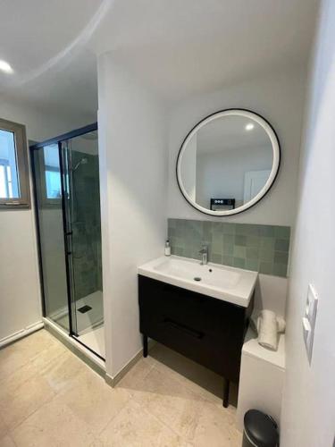 une salle de bain avec un lavabo et un miroir dans l'établissement Penthouse / 2 bedrooms in city center of Angers, à Angers