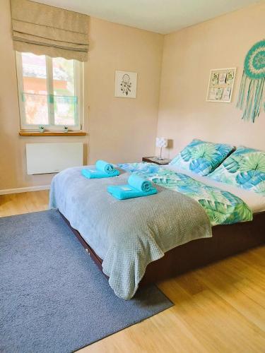 two beds in a bedroom with blue pillows on them at Ostoja Kaczórki in Kaczórki