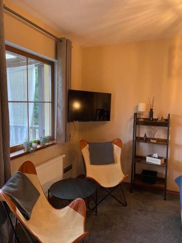 a living room with chairs and a table and a tv at Resort Lesní Lázně in Zvánovice