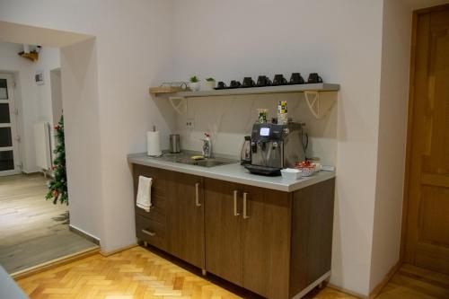 eine Küche mit einer Spüle und einer Arbeitsplatte in der Unterkunft 4Rooms Central Sibiu in Sibiu