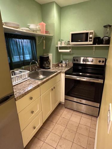 a kitchen with a sink and a microwave at The Green Iguana Hotel in Charlotte Amalie