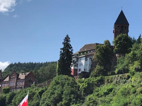 un castillo en la cima de una colina con una bandera en Ferienwohnung Zeitlos, en Gundelsheim