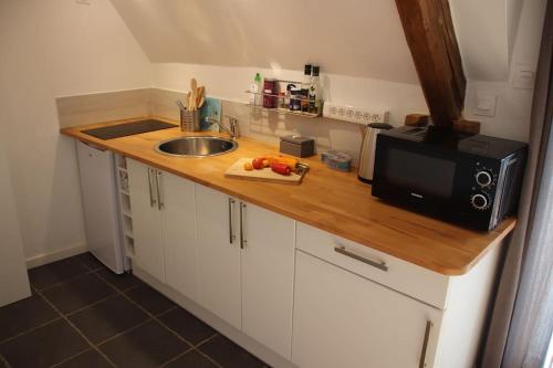 un comptoir de cuisine avec un micro-ondes et un évier dans l'établissement Chaumière de Kerréo CELESTINE ***, à Pluvigner
