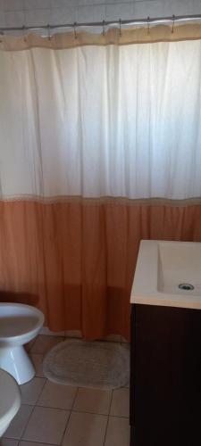 La salle de bains est pourvue de toilettes et d'un rideau de douche. dans l'établissement El Descanso, à Nueve de Julio