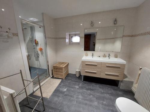 La grande salle de bains est pourvue d'un lavabo et d'une douche. dans l'établissement Charmante maison de campagne, à Saint-Maurice-sous-les-Côtes