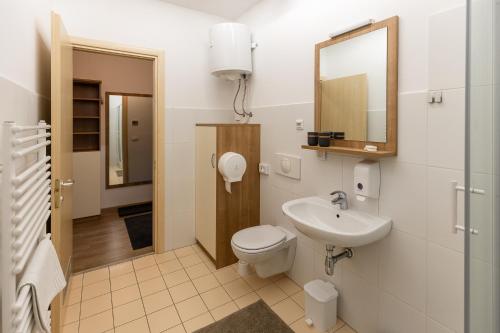 La salle de bains est pourvue d'un lavabo, de toilettes et d'un miroir. dans l'établissement Apartma Planika, à Kranjska Gora