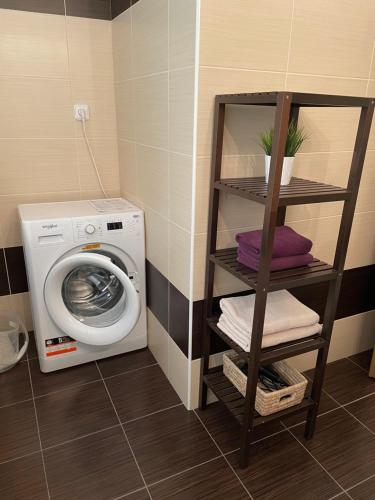 a laundry room with a washing machine and a shelf at Golden Key Apartments in Liberec