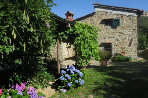 Zahrada ubytování Casa Giusti - Vellano, Pescia, Pistoia