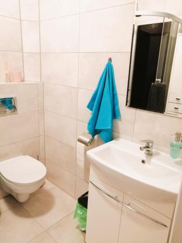 a bathroom with a toilet and a sink at Ostoja Kaczórki in Kaczórki