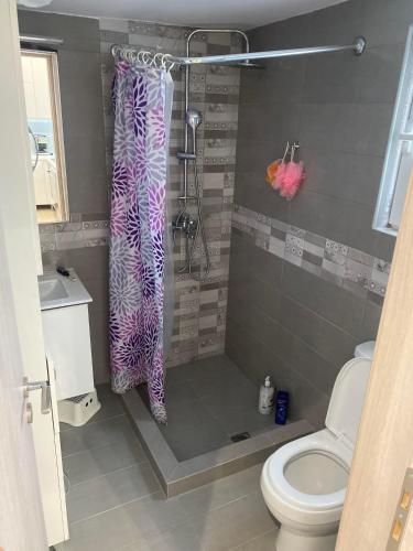 bagno con doccia e tenda viola di Ledjon apartament a Artemida