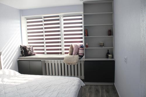 a bedroom with a window with a radiator and a bed at Ana's Apartment in Chişinău