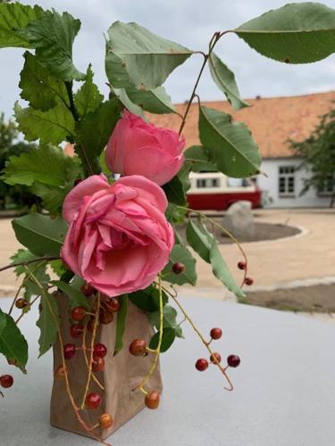 Zahrada ubytování Landhotel Rosenhof am Plauer See garni mit E-Lade Säule