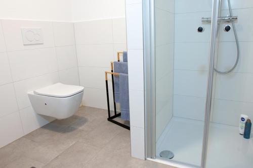 uma casa de banho com um WC e uma cabina de duche em vidro. em AD1716 Apartments em Marktheidenfeld