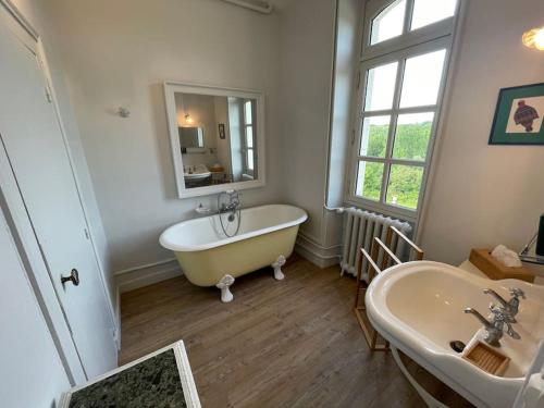une salle de bain avec une baignoire, un lavabo et un miroir dans l'établissement Château dans le Val de Loire, à Coulanges