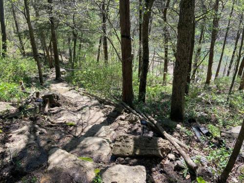 a dirt trail in a forest with trees and rocks at Secluded Lakeview retreat by Eureka Springs-CANOE in Eureka Springs
