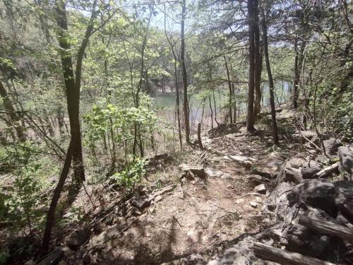 a dirt trail in the woods with a lake in the background at Secluded Lakeview retreat by Eureka Springs-CANOE in Eureka Springs