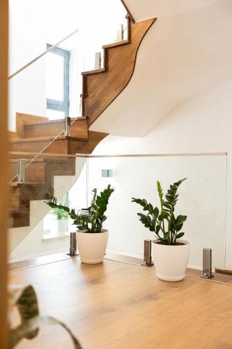two potted plants sitting on a floor in a room with stairs at Villa Florale in Široka