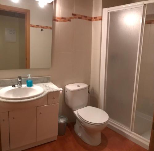 uma casa de banho com um WC, um lavatório e um chuveiro em Habitatge familiar de Can Bota Batllo em Setcases