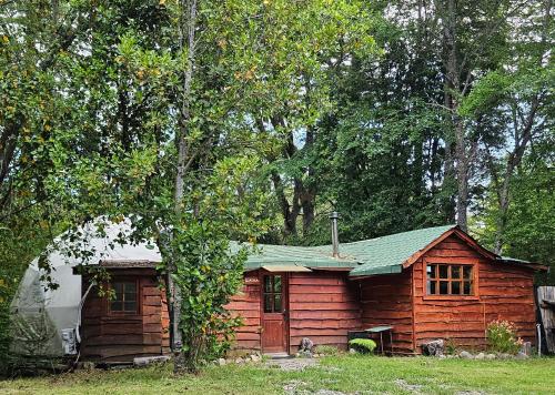 a log cabin in the middle of a forest at Vortice Chile Eco-Lodge in Manzanar