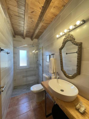 a bathroom with a sink and a toilet and a mirror at MONTE DAS AREIAS CASA DE CAMPO/PASSADIÇO/PATEO/RAMPA in Porches