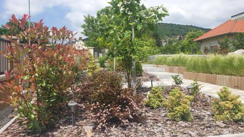 Relax Balaton Apartmanok 8230 Balatonfüred, Balatonfüred Cséplő E. utca 4 kép - 3
