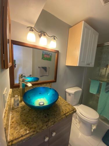 y baño con lavabo azul y aseo. en Private Retreat, en Lake Worth