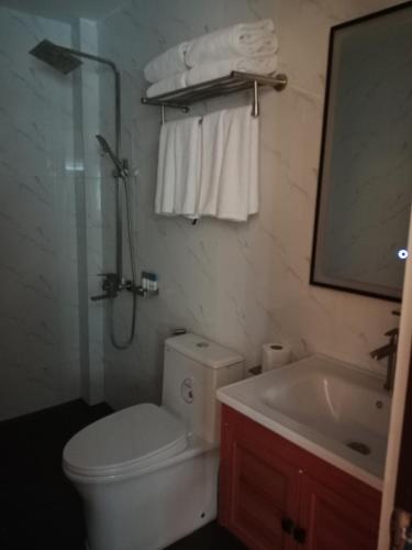 a bathroom with a toilet and a sink and a mirror at Saffire Beach Resort and Glamping in Pagudpud