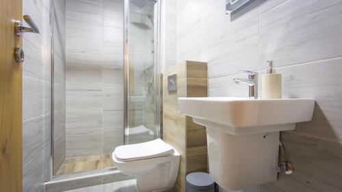 a bathroom with a toilet and a sink and a shower at Mountain Mirage in Mojkovac
