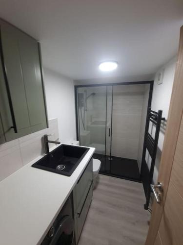 Converted garage ensuite photo 11