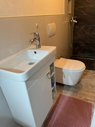 La salle de bains est pourvue d'un lavabo et de toilettes. dans l'établissement Studio apartman Cuprija, à Cazin